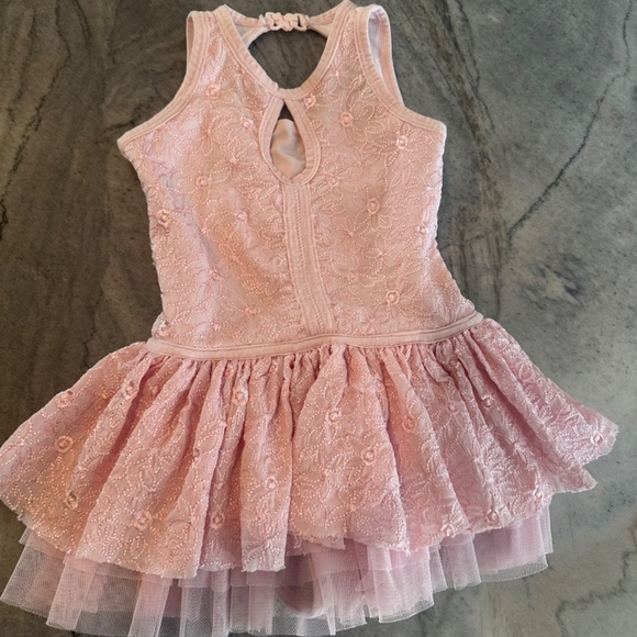 DanzNMotion Embroidered Leotard Dress (2-4t) - Picture 5 of 6